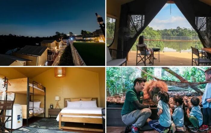 Colugo Camp is Mandai Wildlife Reserve’s first glamping site – Glamping Passion