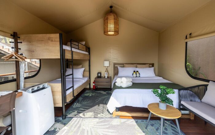 First look at Colugo Camp, new glamping site at Mandai Wildlife Reserve – Glamping Passion